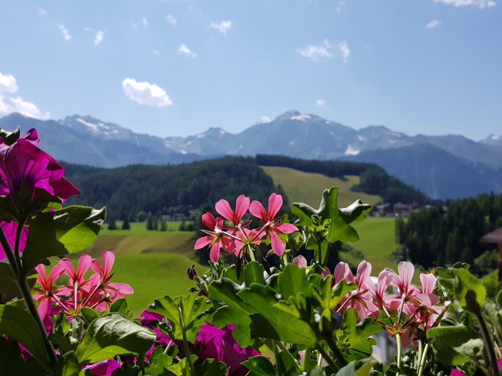 Alpin Appart Reiterhof Niederthai Exteriér fotografie
